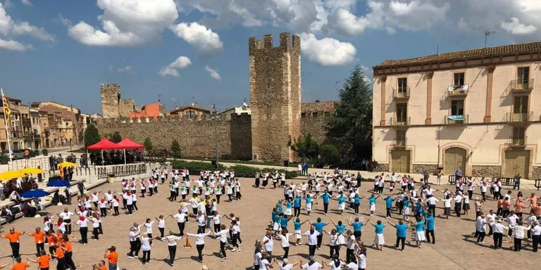 Nogueras assegura que el seu partit pot aportar noves idees i maneres de fer
