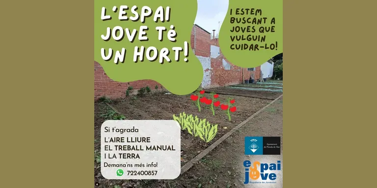L'Espai Jove té hort i busca joves que el vulguin cuidar