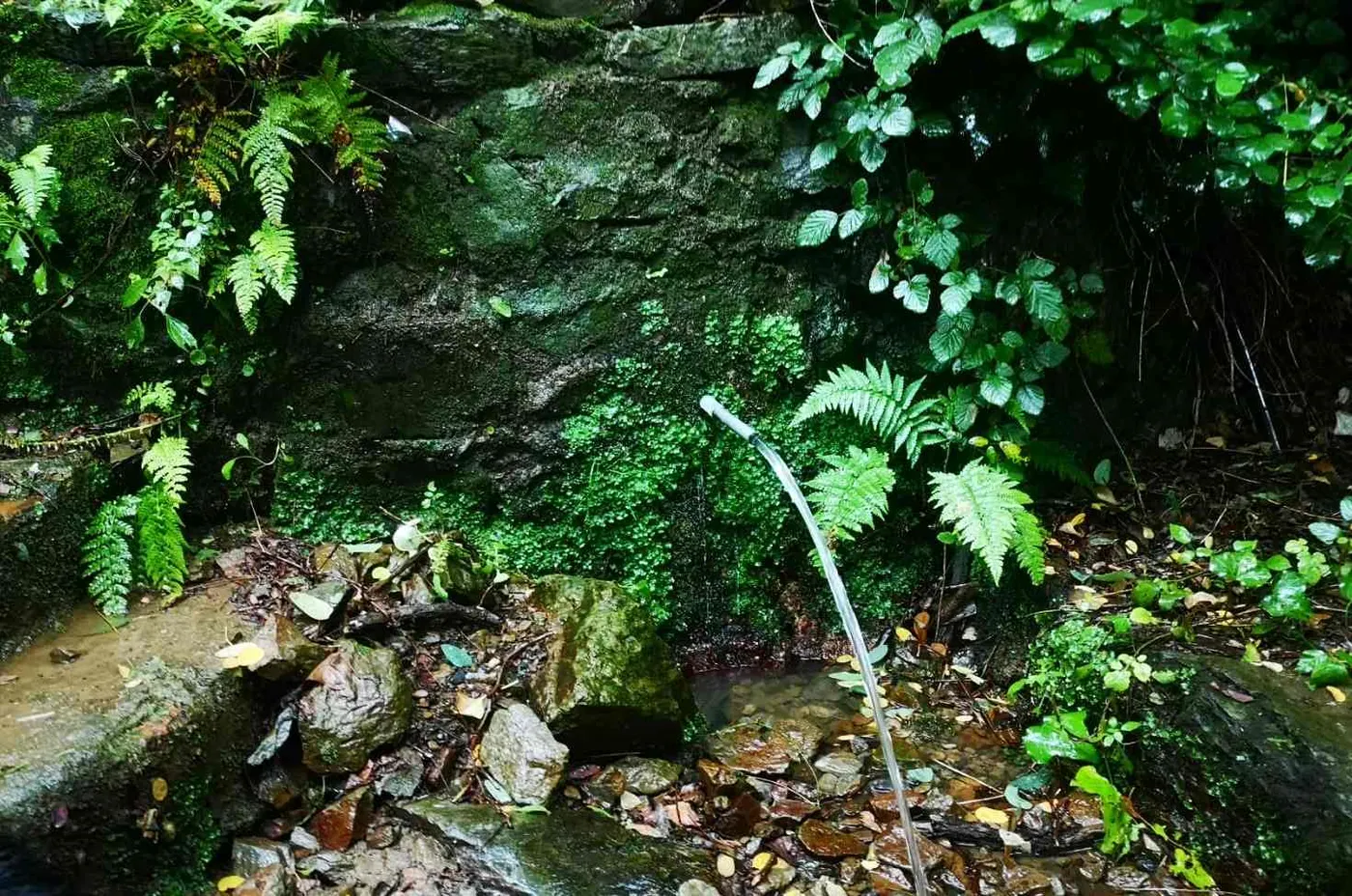 L'escola de muntanya Montpalau Team senyalitzarà dues rutes al Torrent de N'Avall i al Turó de la Guàrdia