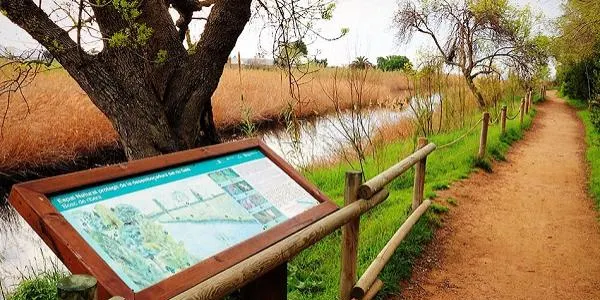 La desembocadura del Gaià i els canvis en la seva fesomia a causa de l'última llevantada centren la visita guiada d'aquest diumenge