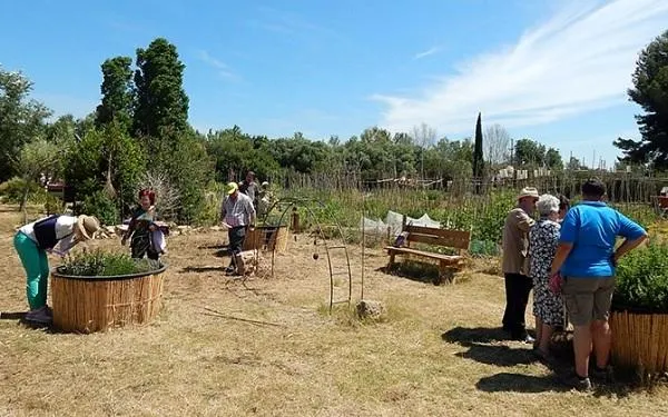 Foto: Hort de la Sínia