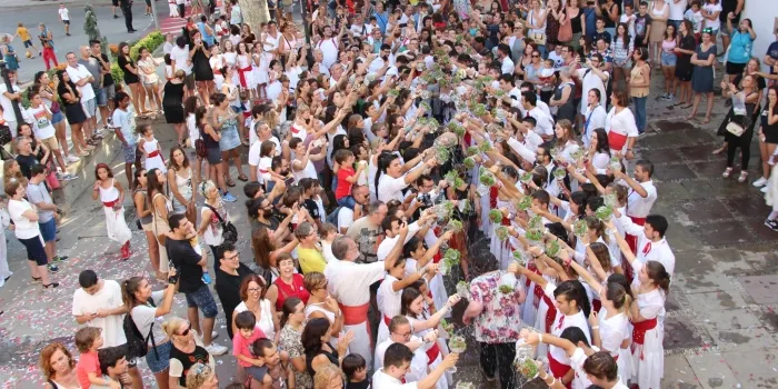Rècord de Macips aquest Sant Roc 2018