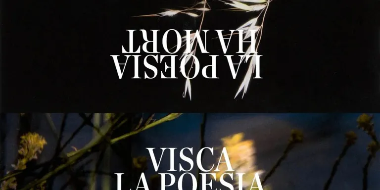 El Festival 'Poesia i +' arriba avui a Arenys de Mar amb una doble proposta