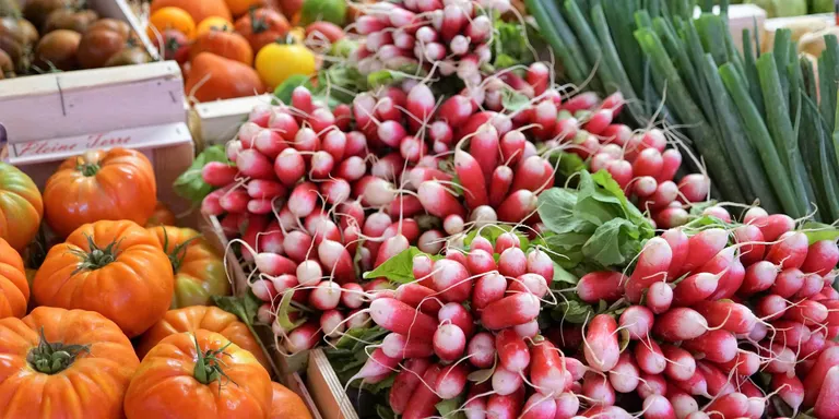 ERC demana que es promogui una campanya per l'etiquetatge dels aliments