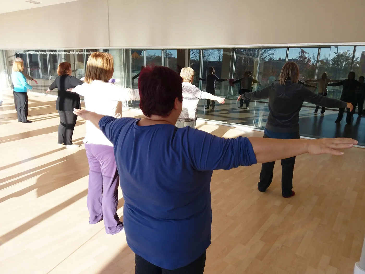 Avui s'obren les inscripcions per a un nou curs de taitxí a Solsona per treballar l'equilibri físic i mental