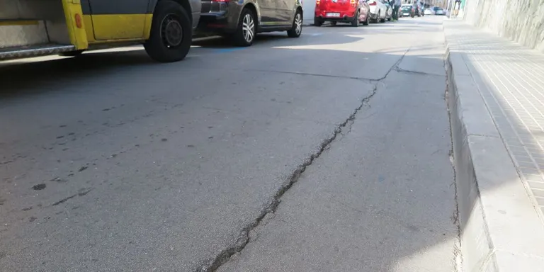 Les arrels dels pins són la causa de l’aixecament de la calçada de l’avinguda Montevideo