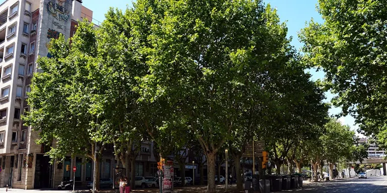 Els veïns de la plaça Poeta Marquina de Girona votaran si volen canviar-ne el nom i esborrar "la imposició franquista"
