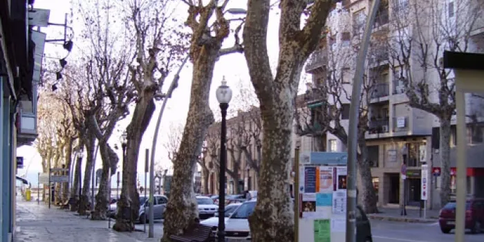 Aquesta nit, a partir de les 11 fins a les 5 de la matinada, es farà un tractament fitosanitari als plataners de la nostra vila