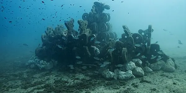 La platja d'Altafulla podria acollir un escull submarí per contenir la força de l'onatge en una prova pilot amb l'aval de la UPC