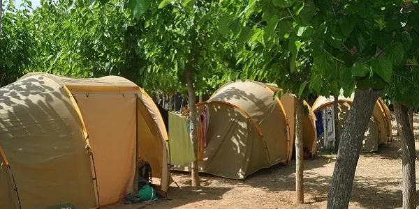 El ‘Camp de Treball del Gaià: Un món entre Altafulla i Tamarit’ torna aquest estiu