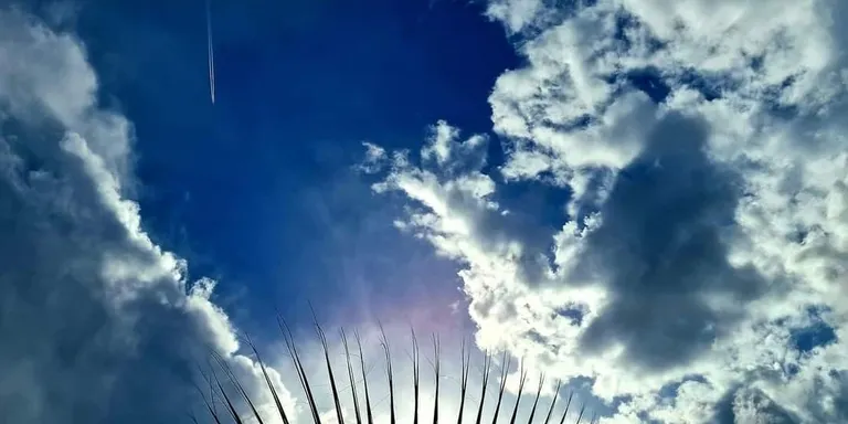 Bon temps i ambient primaveral