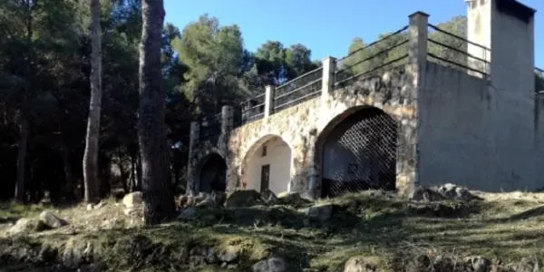 L’Ajuntament d’Altafulla neteja la zona de pineda al voltant de les barbacoes de l’Ermita de Sant Antoni