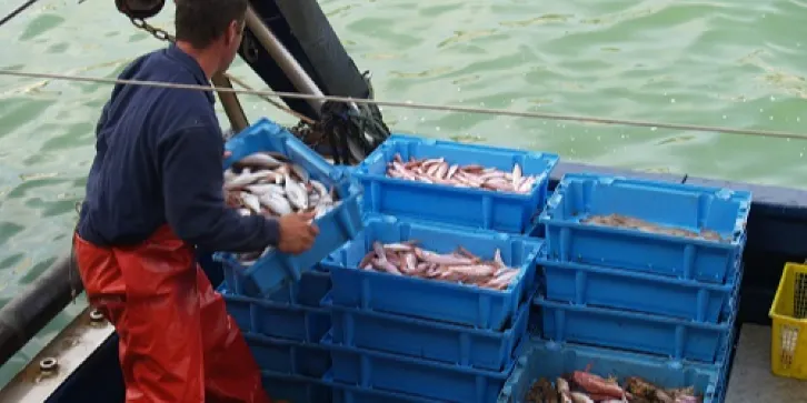 El Govern reclama ajuts per compensar els armadors i mariners de la pesca pels costos addicionals causats pel conflicte d'Ucraïna
