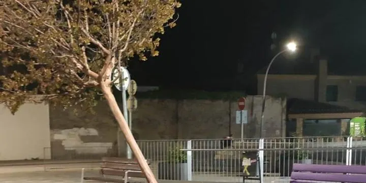 Crònica del 12.04.2022