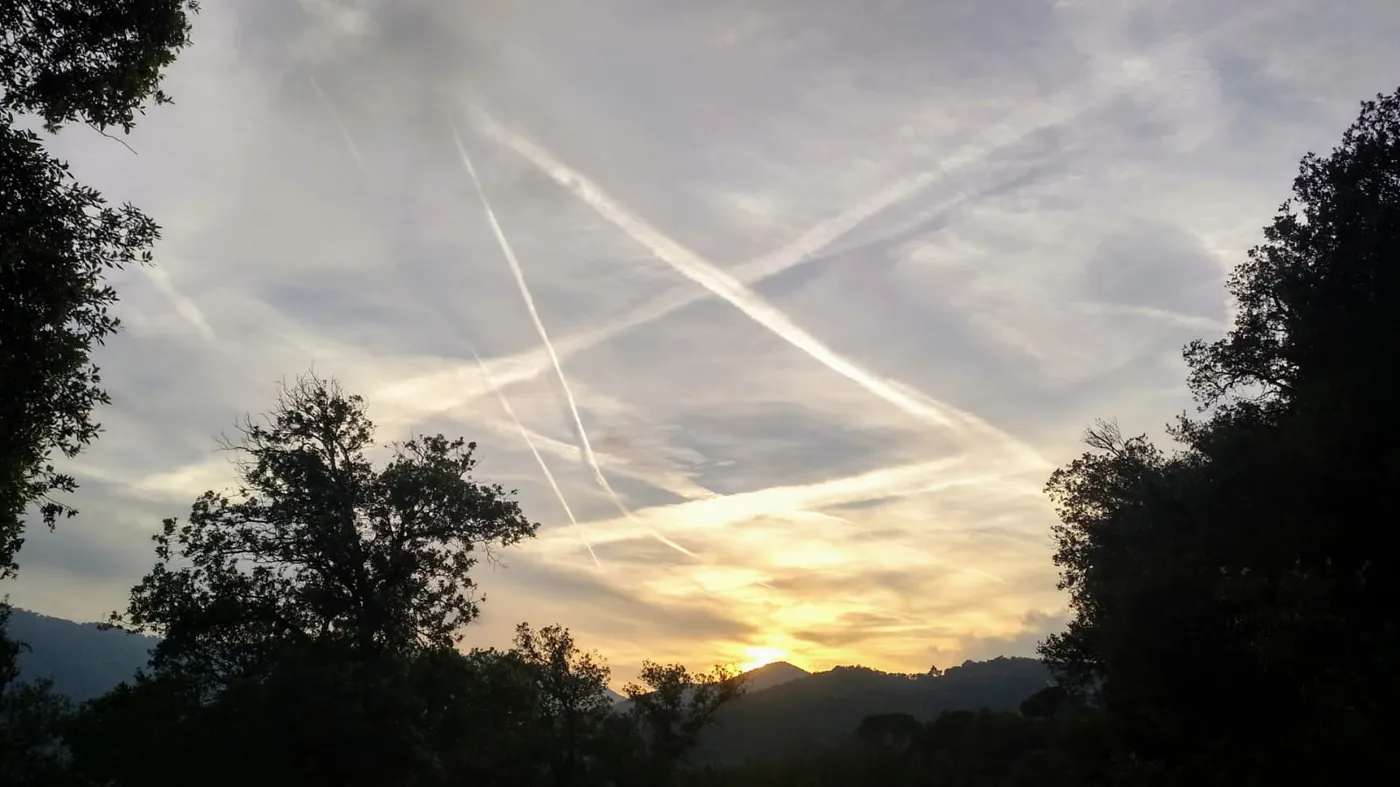Dia rúfol amb clarianes