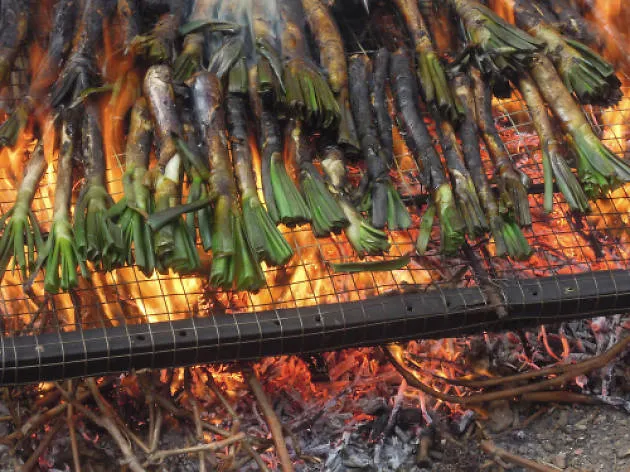 El grup de consum alternatiu Òlbia proposa una calçotada popular per al diumenge 22 de març