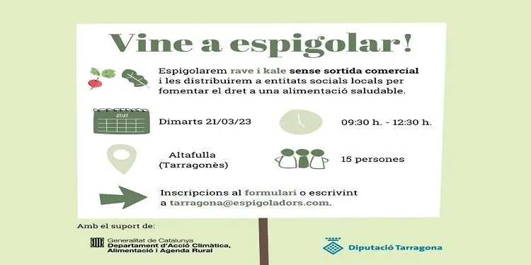 Crida per espigolar un camp de raves i cols verdes d'Altafulla, aquest dimarts al matí