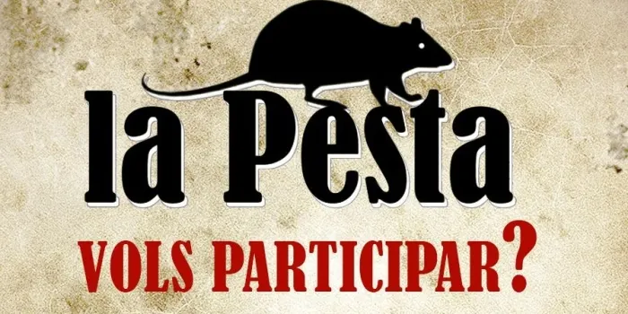 Ja comencen els preparatius per la Pesta