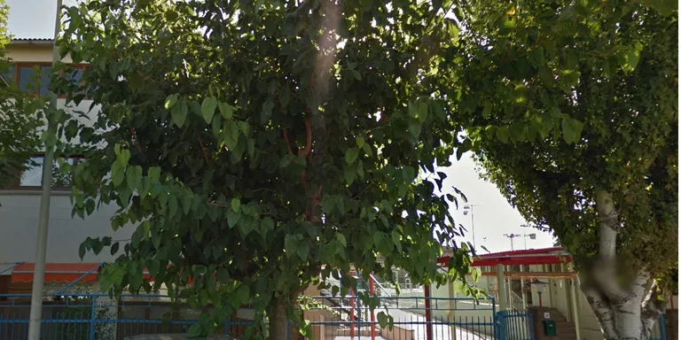Educació comunica al Vinyet que el centre podrà acollir un total de 36 infants de P3 el curs vinent