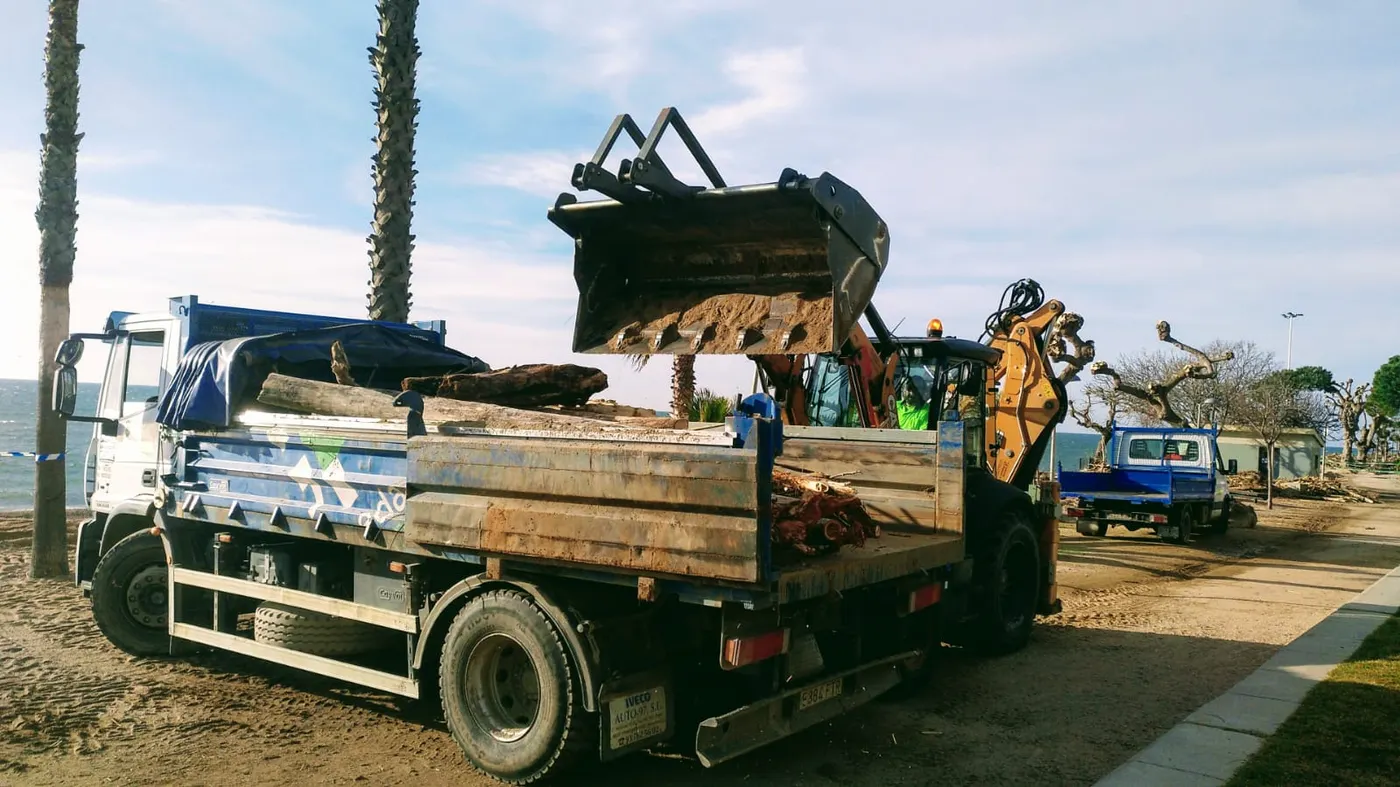 Què se'n farà de les restes orgàniques de la platja?