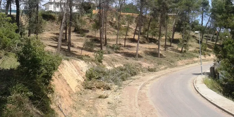El vent d’aquest dilluns ha fet caure dos arbres a Rubí