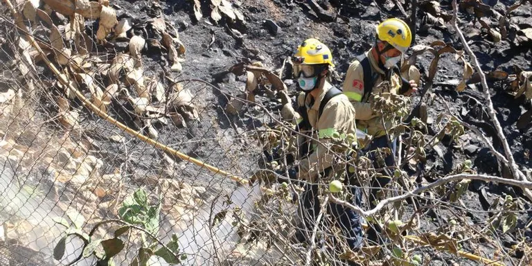 Protecció Civil presenta el nou Pla Infocat que obliga als municipis a tenir un Pla contra incendis