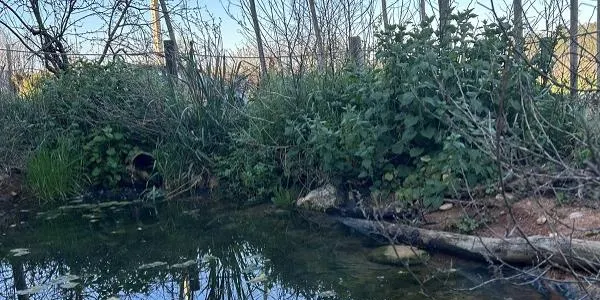 La conca interna del Gaià entra en estat d'excepcionalitat per sequera