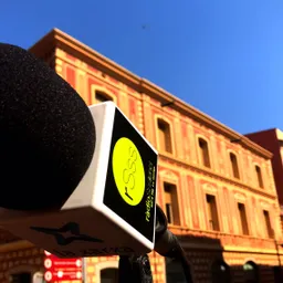 Programa especial dels alumnes de l'institut Vil·la Romana, grup C - episode art
