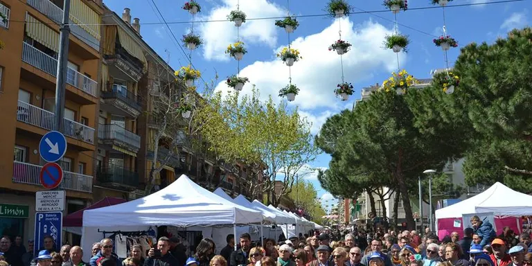 Èxit de públic a Firasud fins l'arribada de la pluja de diumenge a la tarda