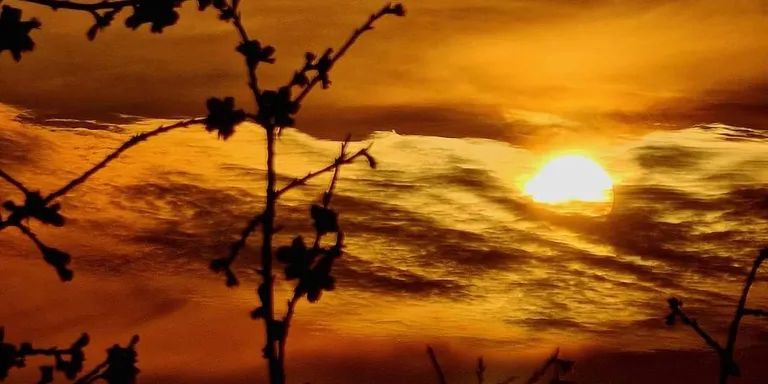 Temps assolellat i ambient agradable