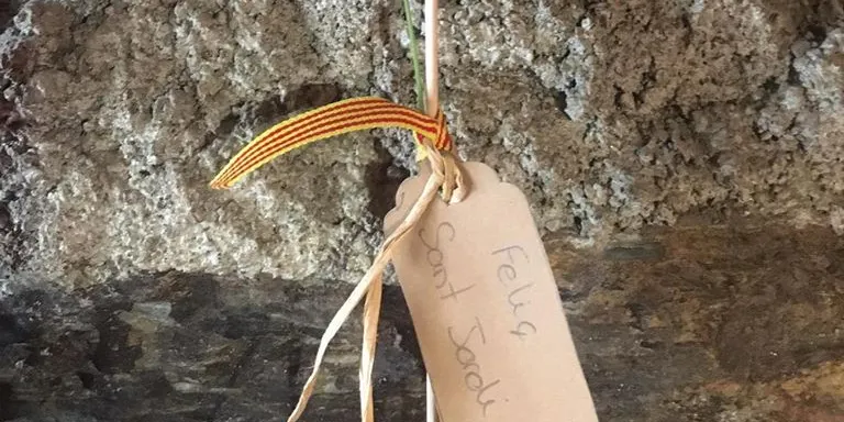 L'Associació pels Animals del Pirineu ofereix una rosa solidària aquest Sant Jordi