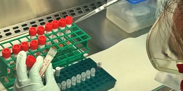 Bloc informatiu: especial coronavirus dimarts 28 d’abril (migdia)
