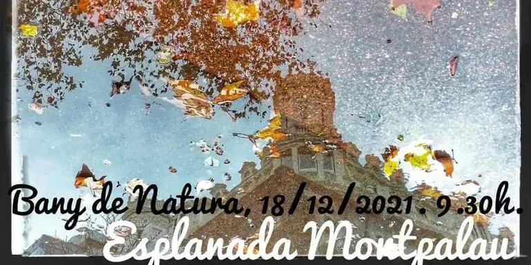 L'entitat GONG convida a celebrar el final de la tardor i l'arribada de l'hivern