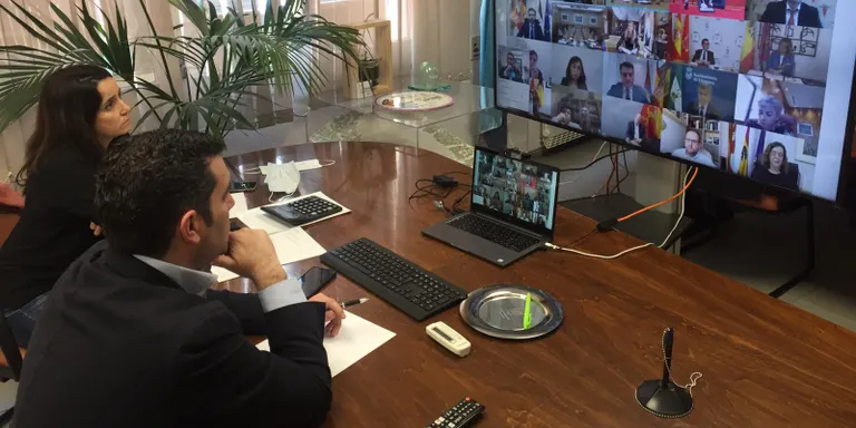 L'alcalde de Pineda participa a la reunió de la FEMP amb el Govern Central pels treballs conjunts de la futura desescalada