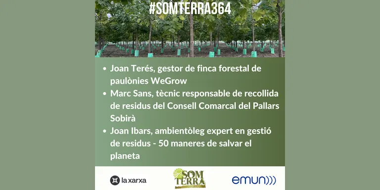 Som Terra 364