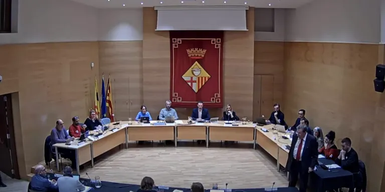 El ple aprova impulsar un nou Servei d’Atenció en l’Entorn Domiciliari