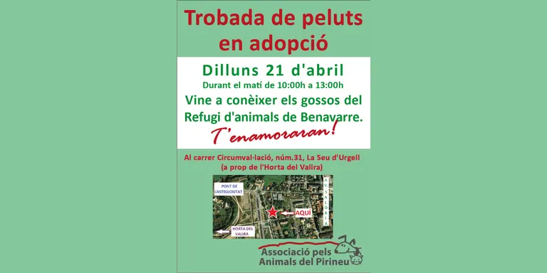 L'Associació pels Animals del Pirineu divulga els seus projectes a la Seu