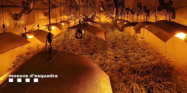 Un veí de Pineda ingressa a la presó acusat de trafic de drogues