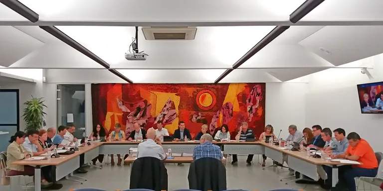 Resum del Ple Municipal del mes de juny de l'Ajuntament de Pineda
