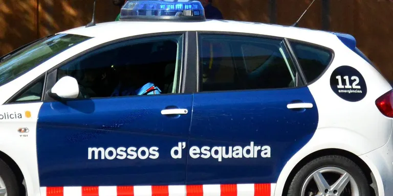 Els Mossos d’Esquadra detenen quatre persones per robar garrofes a Riudoms