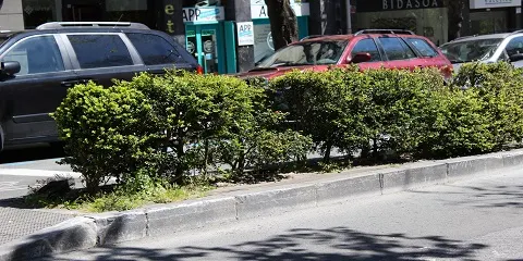 NUEVA IMAGEN PARA EL SETO DE LA AVENIDA DE NAVARRA