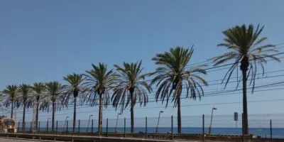 Diumenge, tall de l’N-II de 7h a 17h amb motiu de l’Ironman