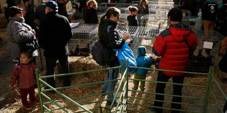 Valls es prepara per celebrar el Mercat de Nadal