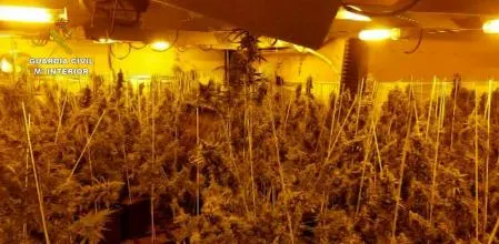 Operatiu de la Guàrdia Civil a Valls contra el tràfic de drogues