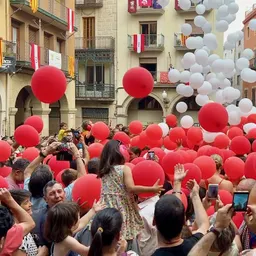 #186 - Sant Joan 2026. Entrevista a Margarida  Aritzeta i Rosa Batet, pregonera i Santjoanera - episode art