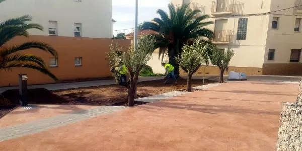 Les obres de la plaça Major, pendents de la instal·lació de la jardineria