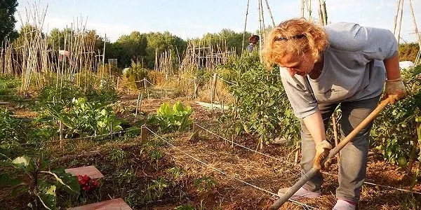 L’Hort de la Sínia i l’Ajuntament d’Altafulla reediten el Taller d’Horticultura Ecològica i l’Hort Social Terapèutic