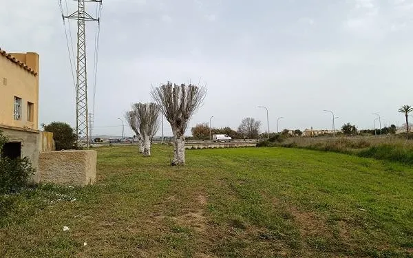 Foto: Altafulla Ràdio