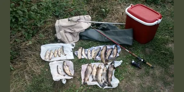 Els Agents Rurals denuncien un pescador furtiu a Sort