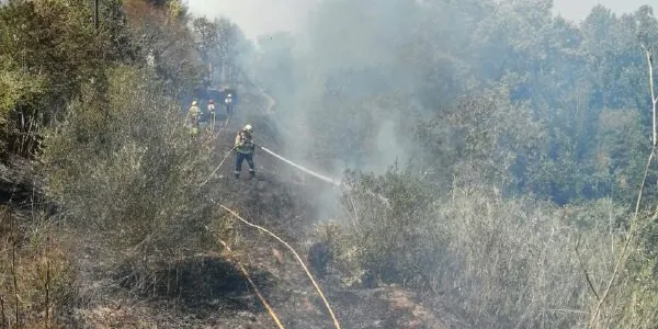 Els bombers donen per estabilitzat l’incendi a Valls